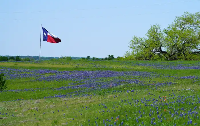 Schreiner’s Rural Outreach Initiative and Proposition 8